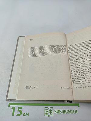 Чернышевский в Петербурге