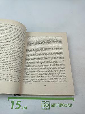 Чернышевский в Петербурге