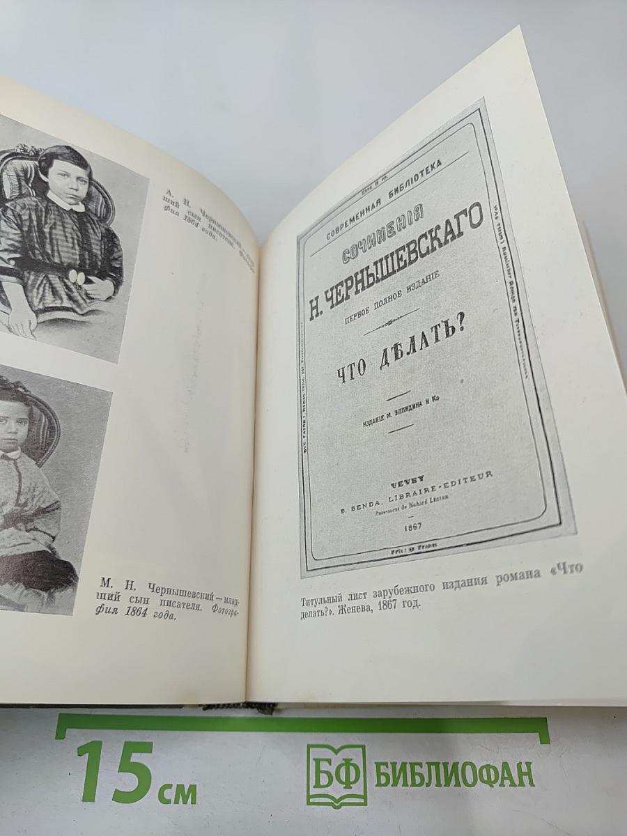 Чернышевский в Петербурге