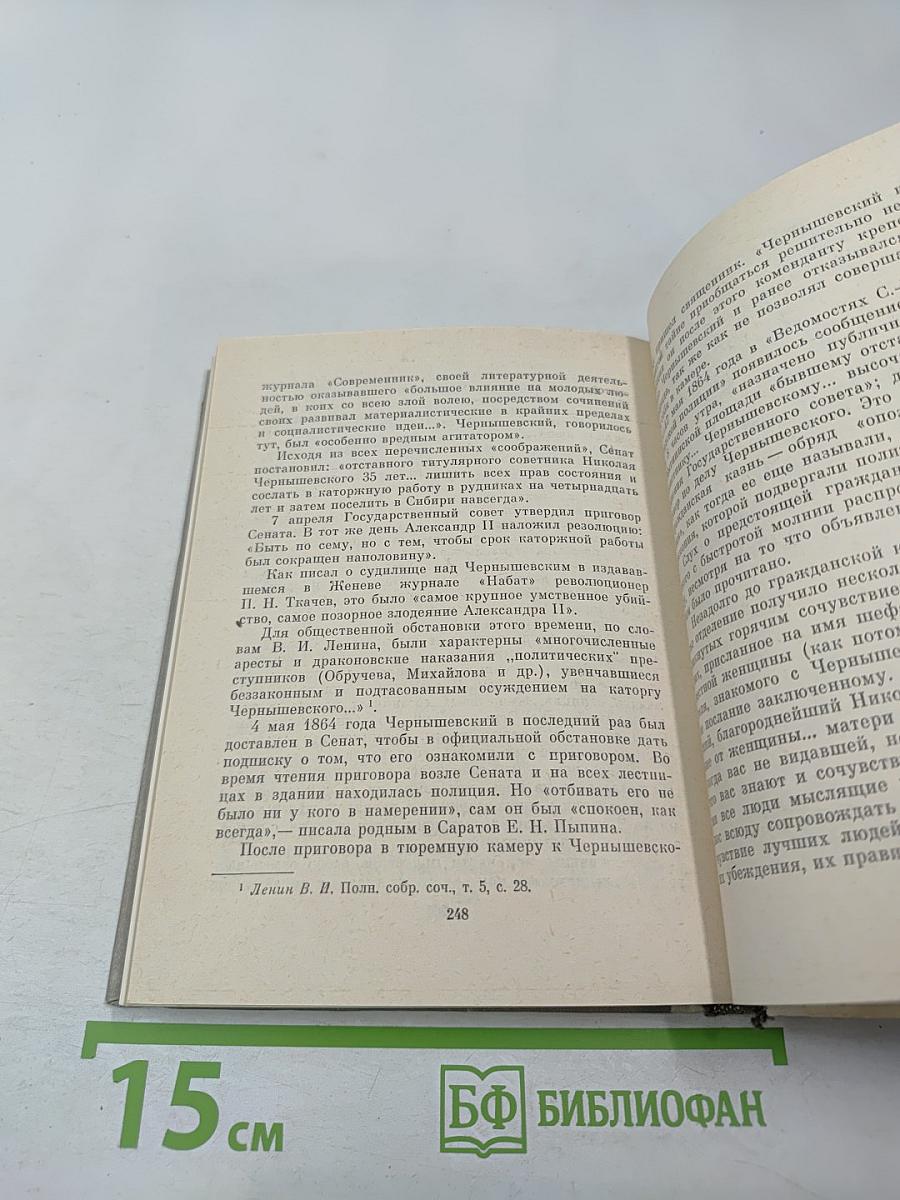 Чернышевский в Петербурге