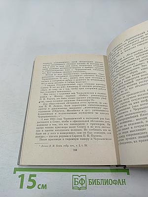 Чернышевский в Петербурге