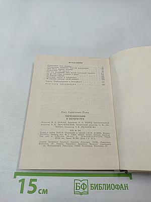 Чернышевский в Петербурге