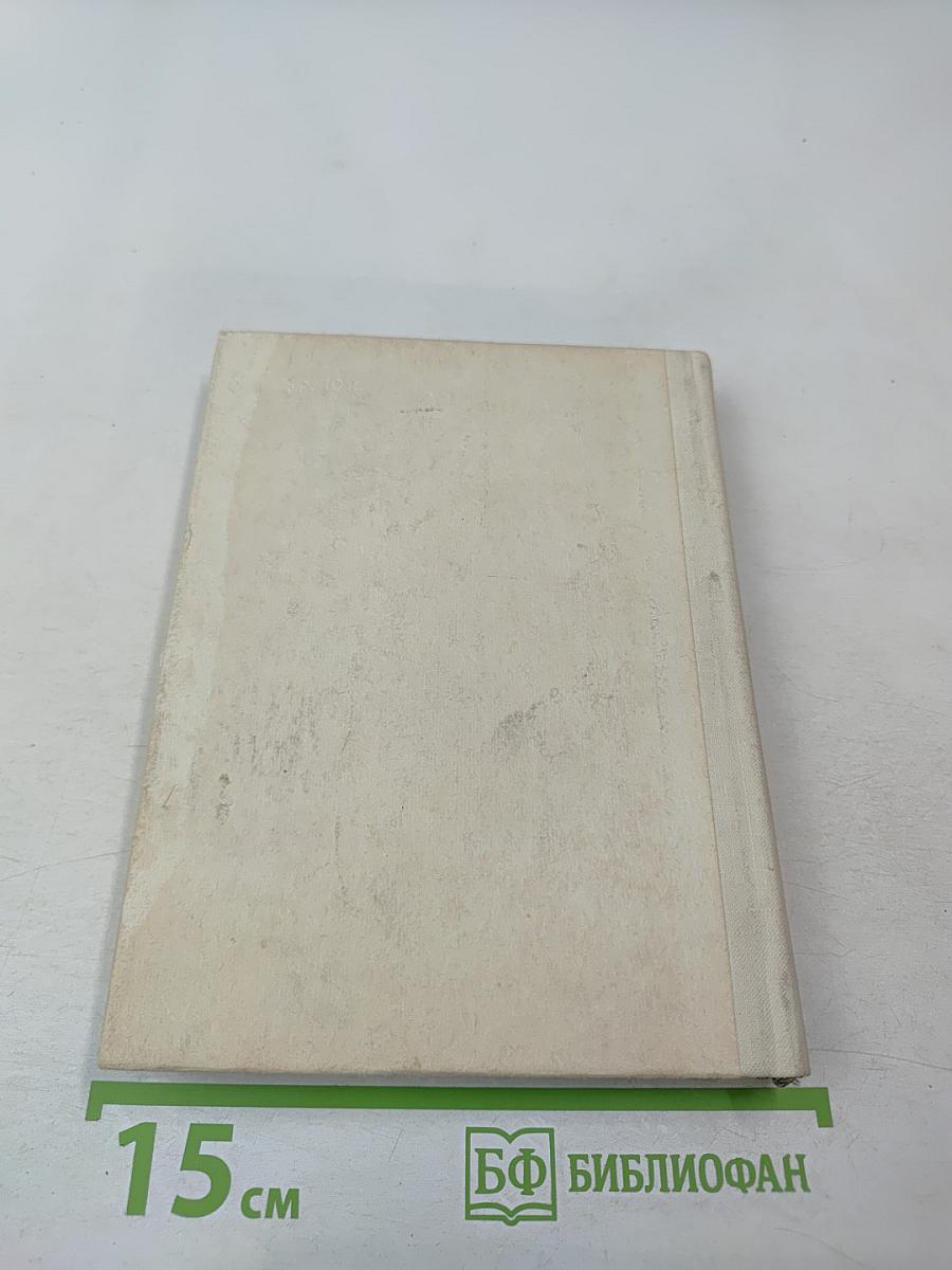 Чернышевский в Петербурге