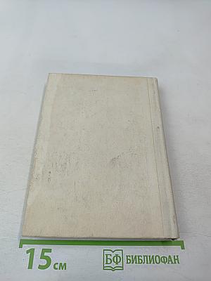 Чернышевский в Петербурге