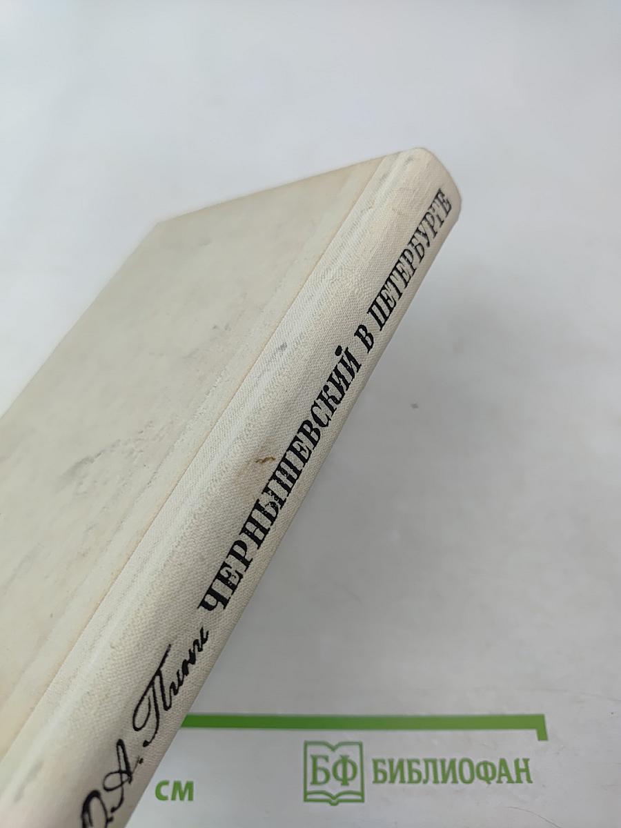 Чернышевский в Петербурге