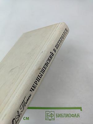 Чернышевский в Петербурге