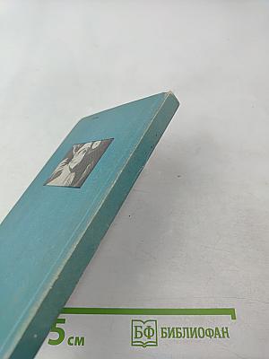 Жизнь побеждает