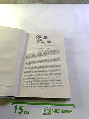 Дневник и Память