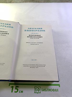 Избранные произведения. Том второй: Повесть о братьях Тургеневых, Черный консул