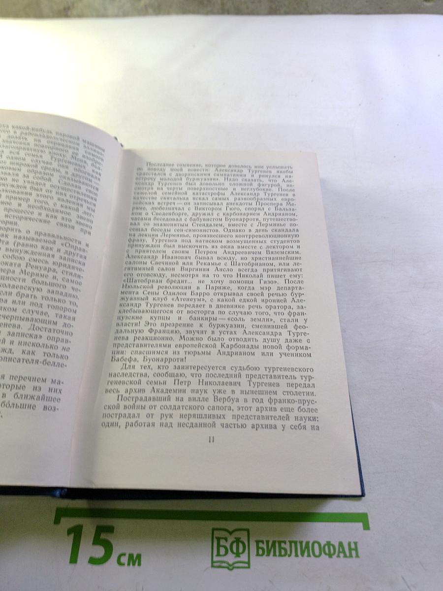 Избранные произведения. Том второй: Повесть о братьях Тургеневых, Черный консул