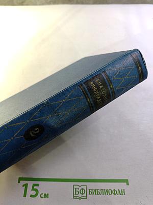 Избранные произведения. Том второй: Повесть о братьях Тургеневых, Черный консул