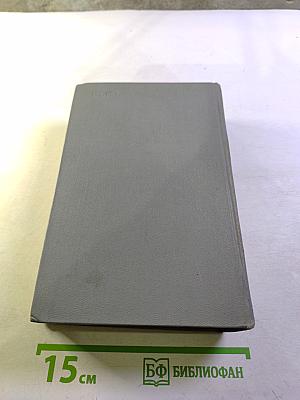 Собрание сочинений. Том шестой: Идиот