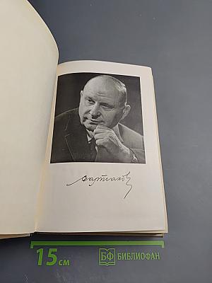 Ледяной клад. Журавли улетают на юг