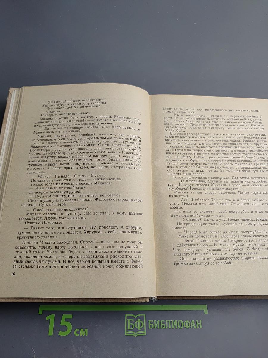 Ледяной клад. Журавли улетают на юг