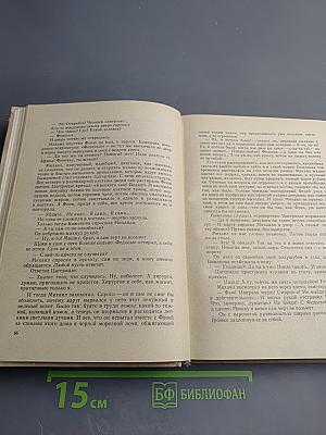 Ледяной клад. Журавли улетают на юг