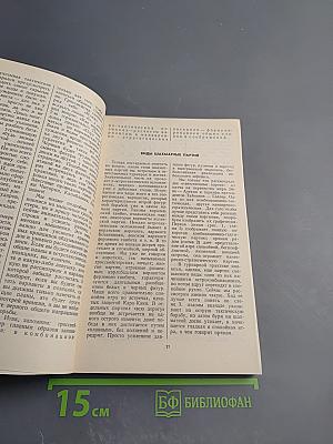 Как стать гроссмейстером