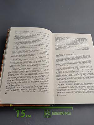 Бессмертник