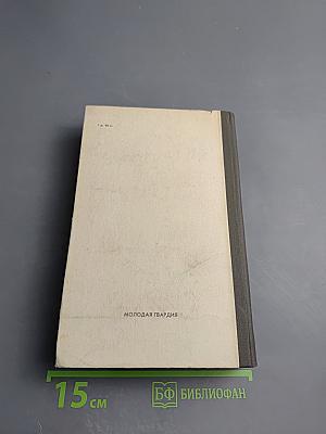 Бессмертник