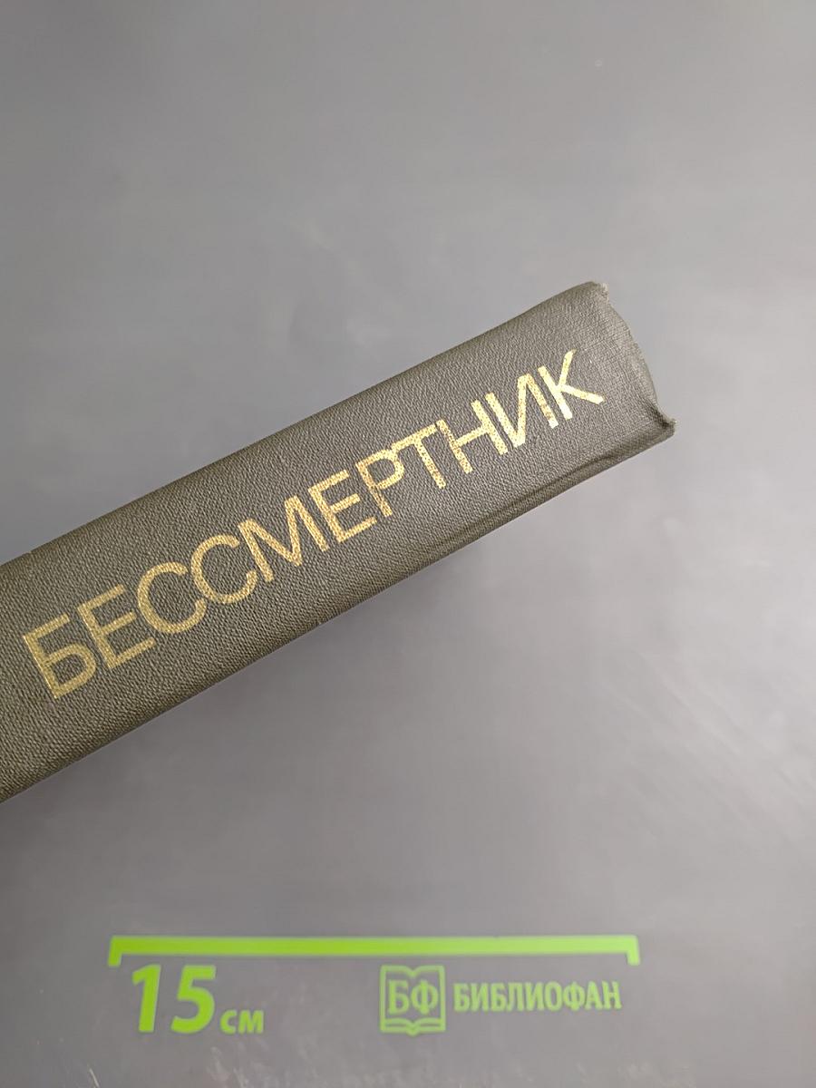 Бессмертник