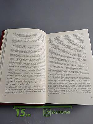 Всего одна жизнь