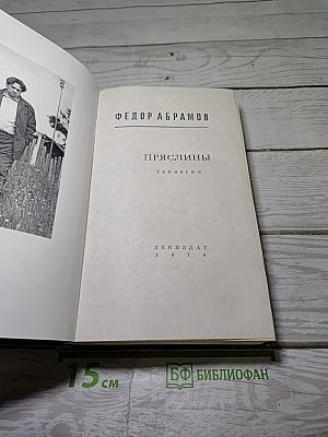 Пряслины