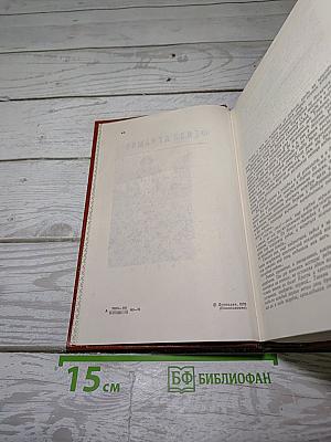 Пряслины