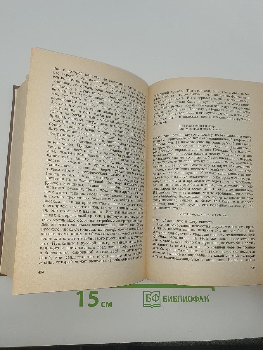 Собрание сочинений в пятнадцати томах. Том четырнадцатый: Дневник писателя 1877, 1880, август 1881