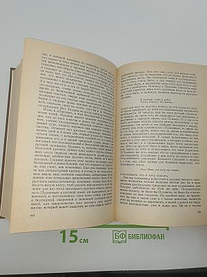 Собрание сочинений в пятнадцати томах. Том четырнадцатый: Дневник писателя 1877, 1880, август 1881