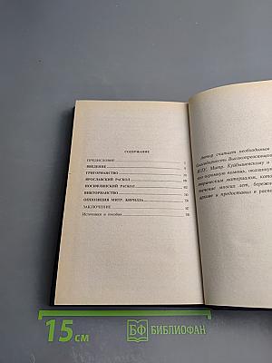 Церковные расколы в Русской Церкви. 20-30 годов ХХ столетия