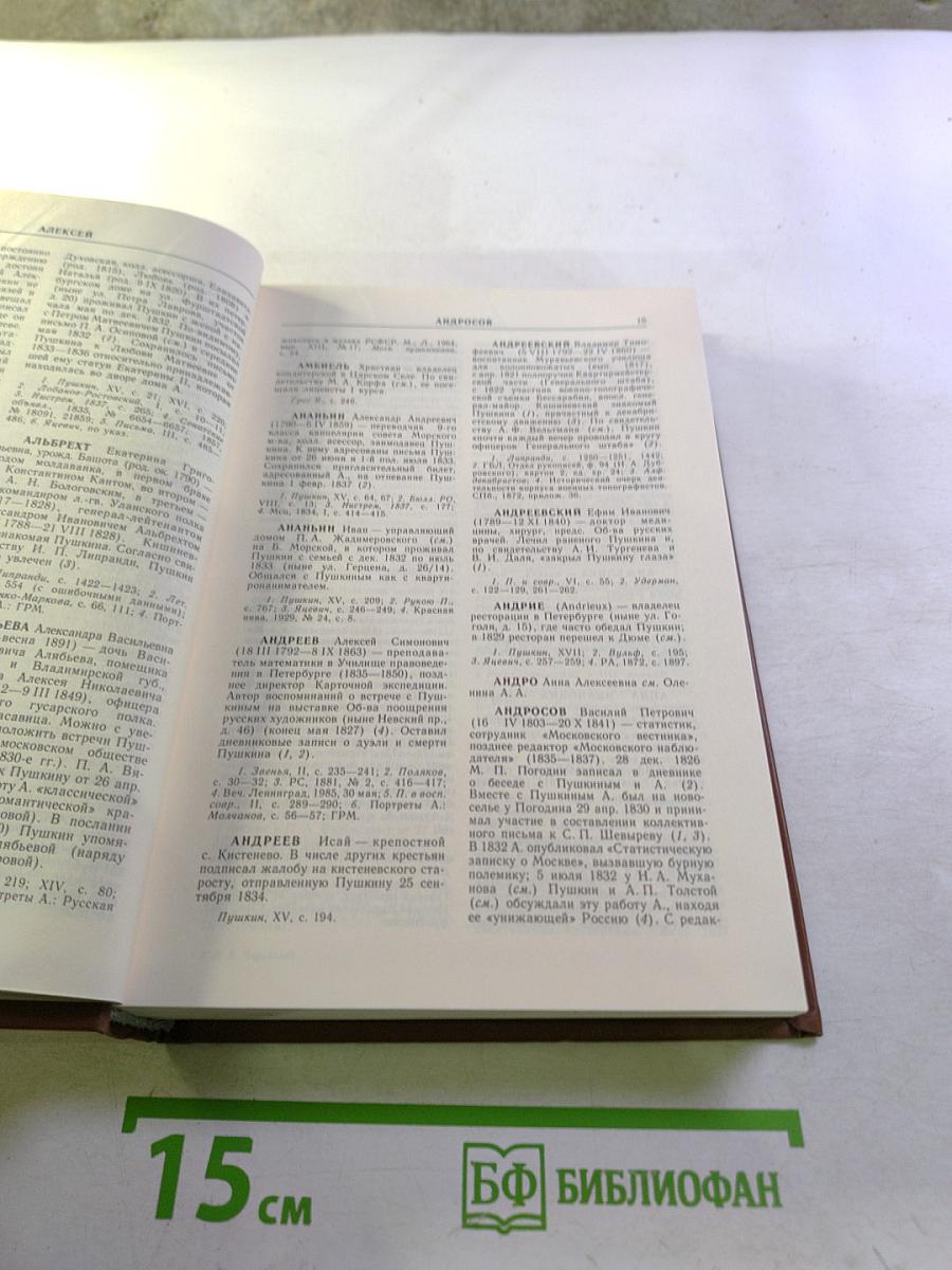 Пушкин и его окружение