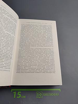 Сочинения. Том 13