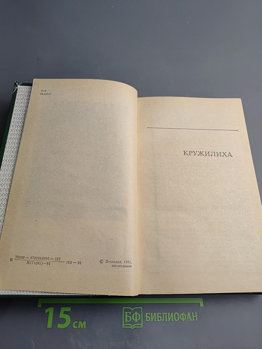 Кружилиха. Спутники