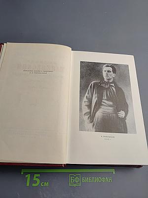 Стихотворения (1917-1921). Полное собрание сочинений. Том 2