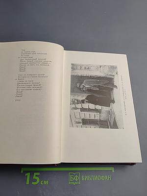 Стихотворения (1917-1921). Полное собрание сочинений. Том 2