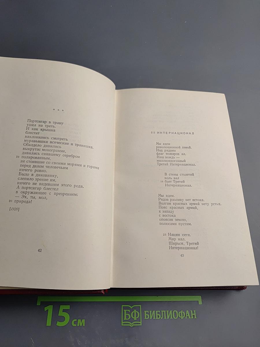 Стихотворения (1917-1921). Полное собрание сочинений. Том 2