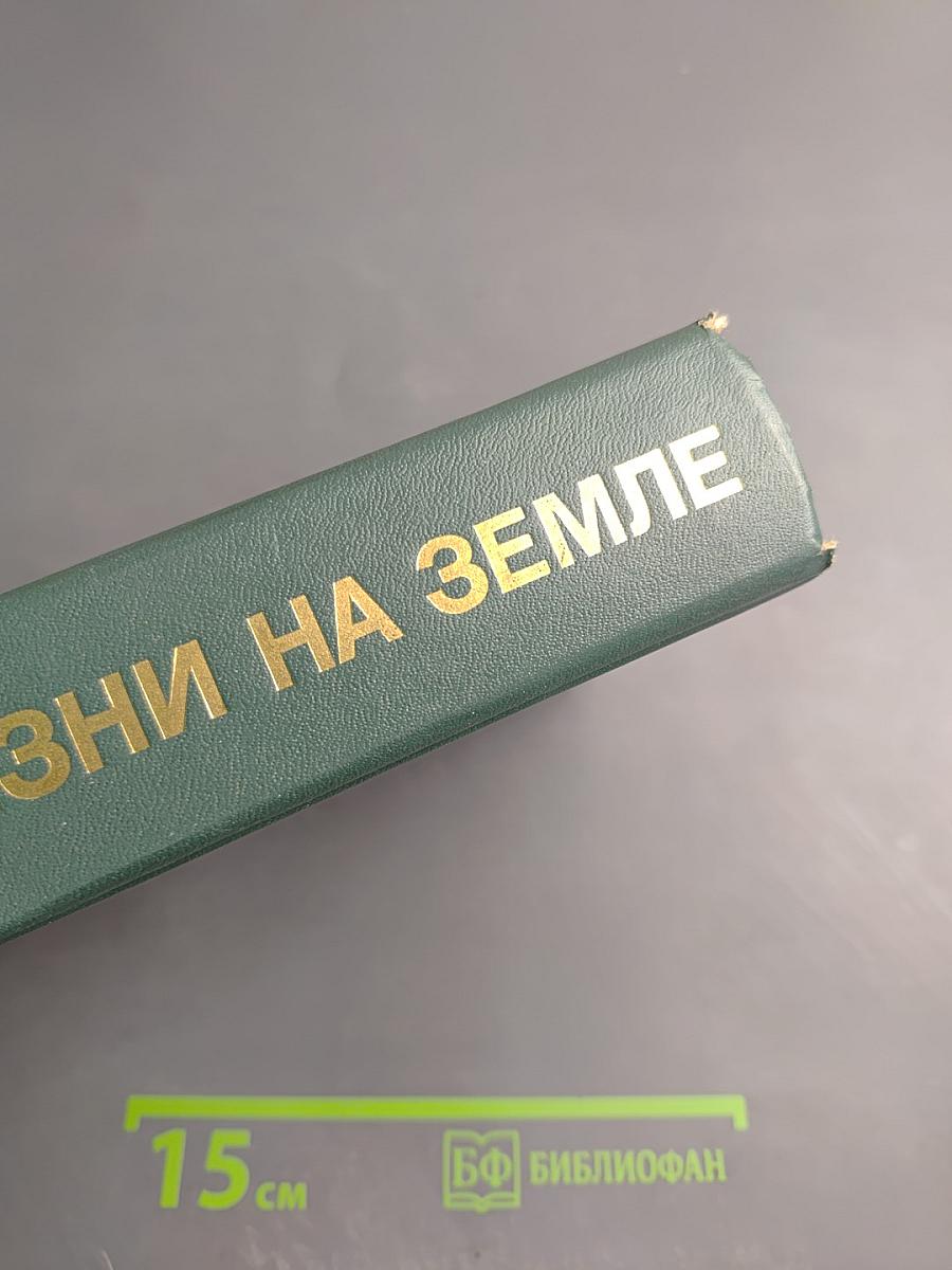 Ради жизни на Земле