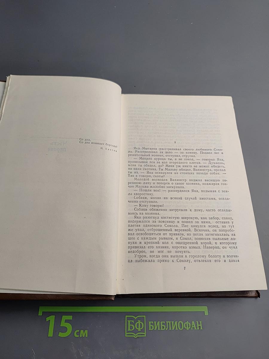 Дом для внука