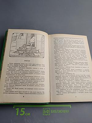 Волшебник Изумрудного города. Урфин Джюс и его деревянные солдаты