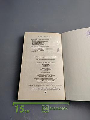 Волшебник Изумрудного города. Урфин Джюс и его деревянные солдаты