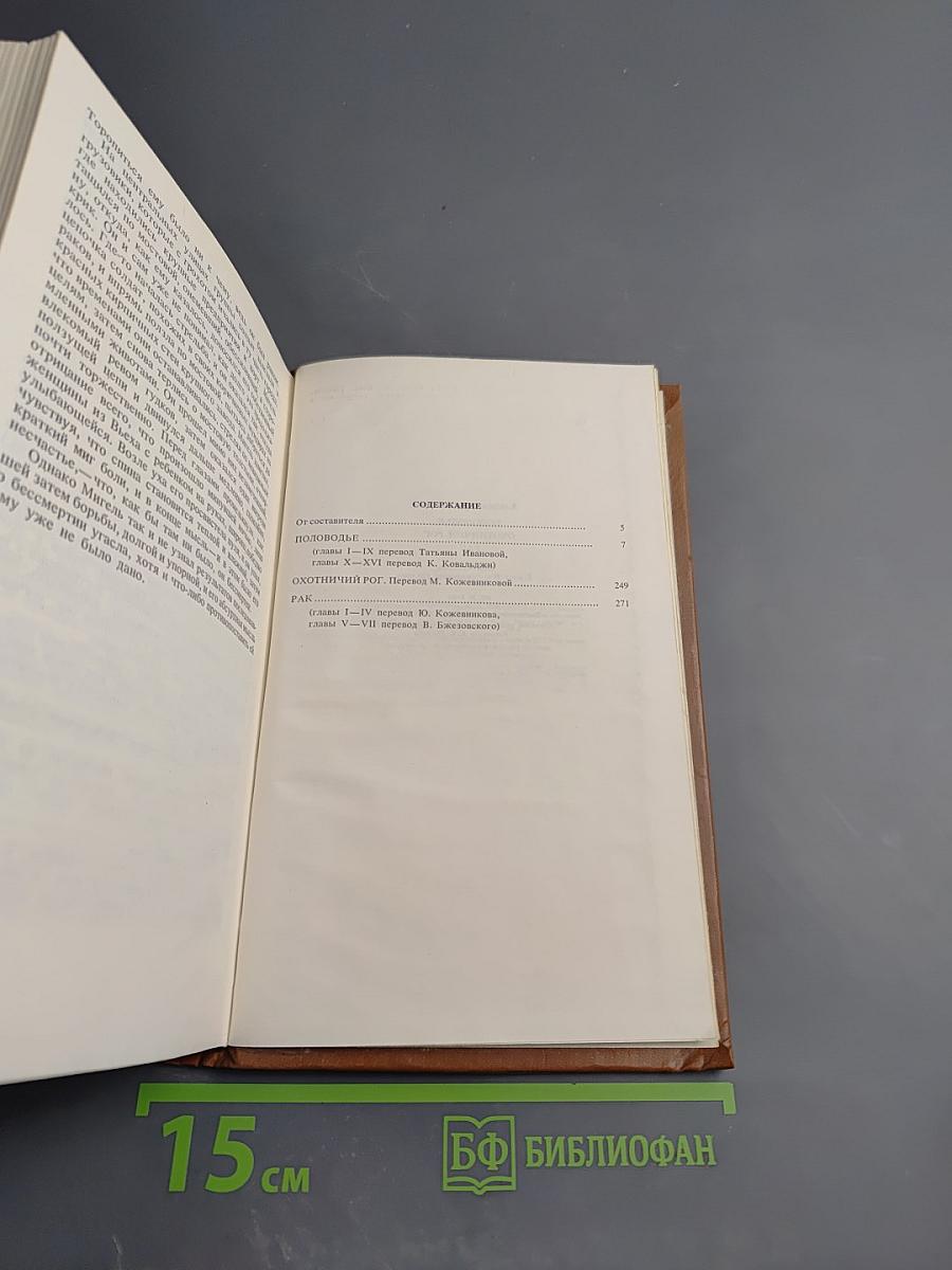 Половодье: Избранное