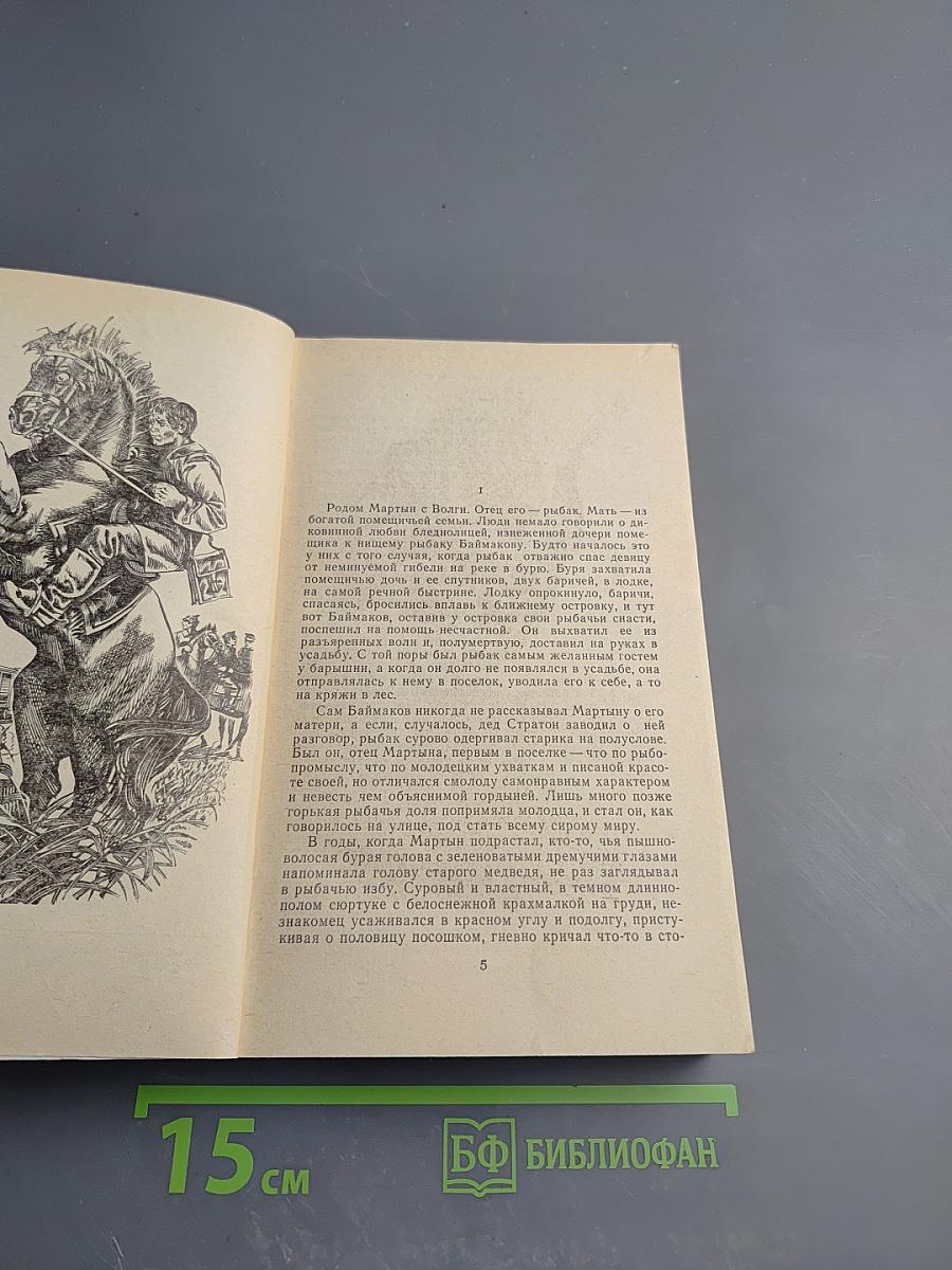 Преступление Мартына