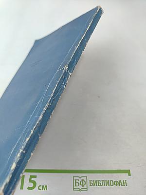 Наши старшие дети