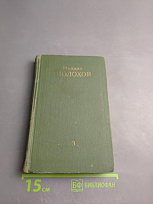 Тихий Дон. Роман в четырех книгах. Том 3