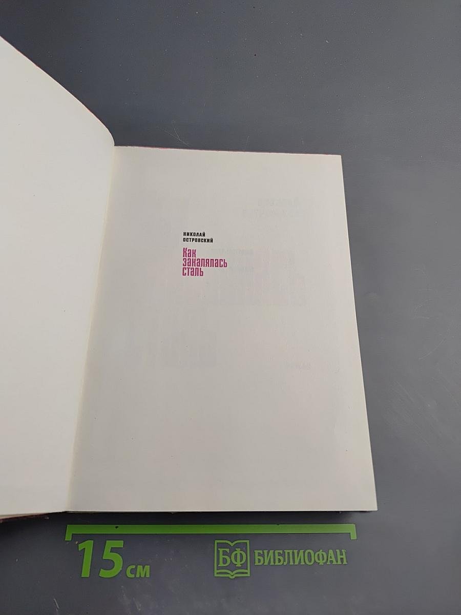 Как закалялась сталь. Часть первая