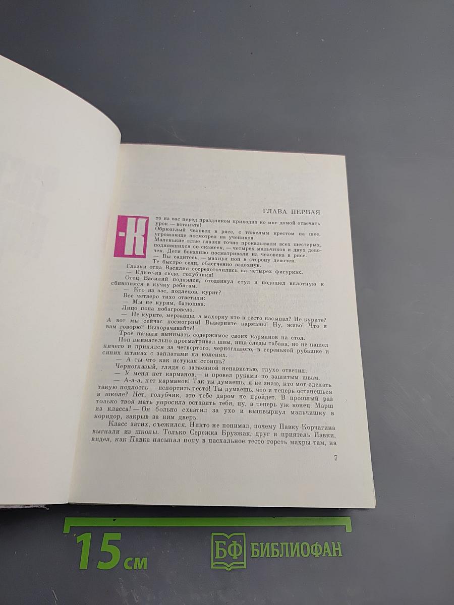 Как закалялась сталь. Часть первая