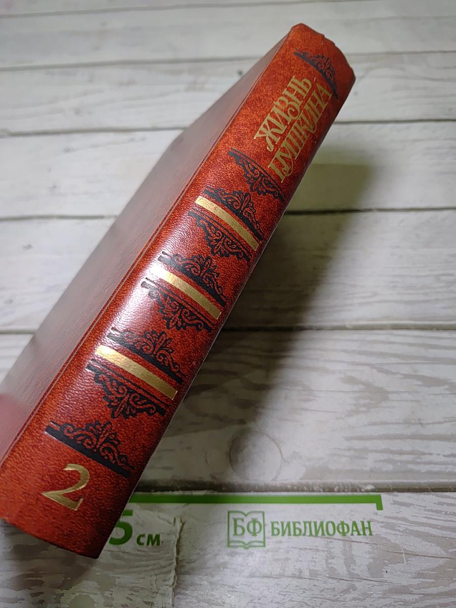 Жизнь Пушкина. Рассказанная им самим и его современниками. Том второй
