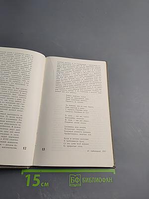 Портреты русских писателей в русской живописи XIX века