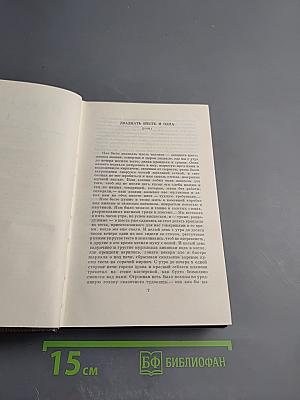 Собрание сочинений. Том пятый: Трое. Рассказы, наброски