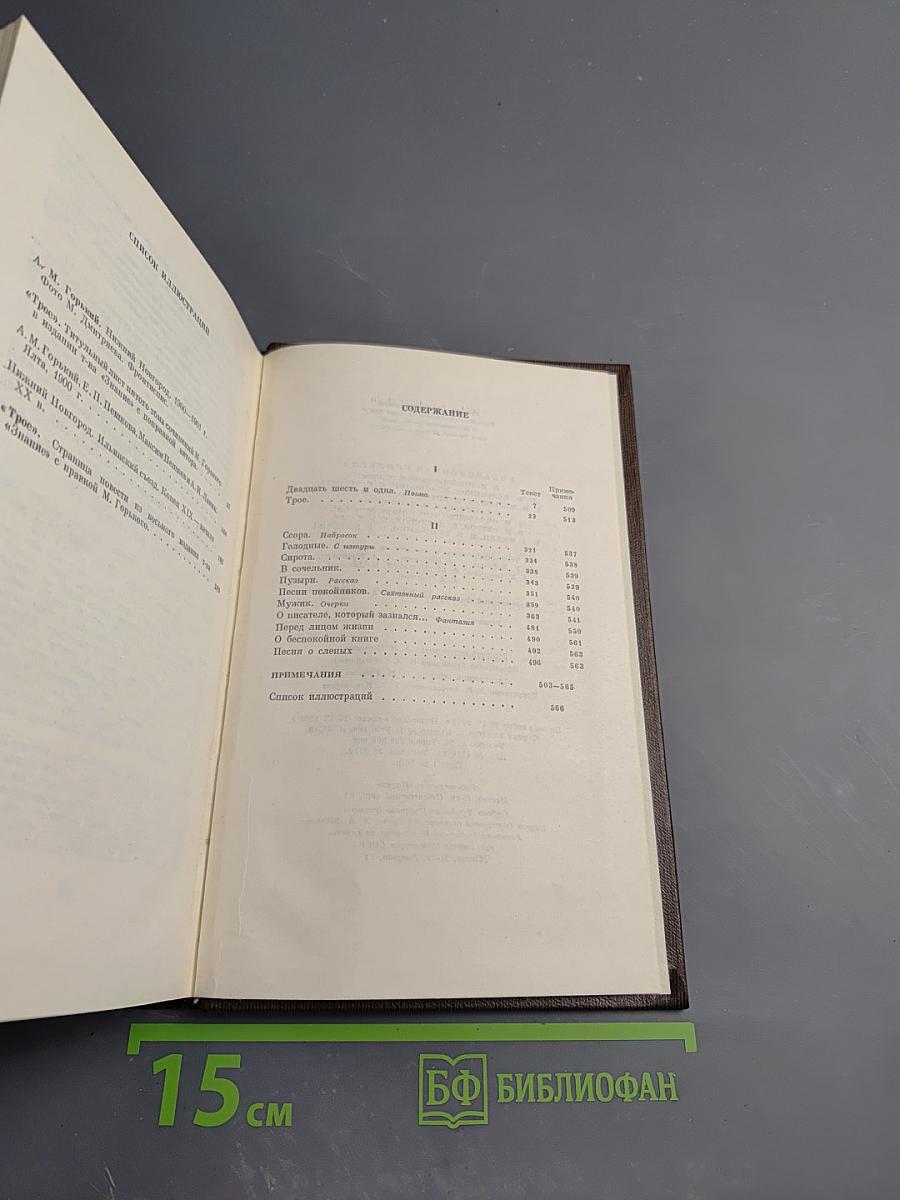 Собрание сочинений. Том пятый: Трое. Рассказы, наброски