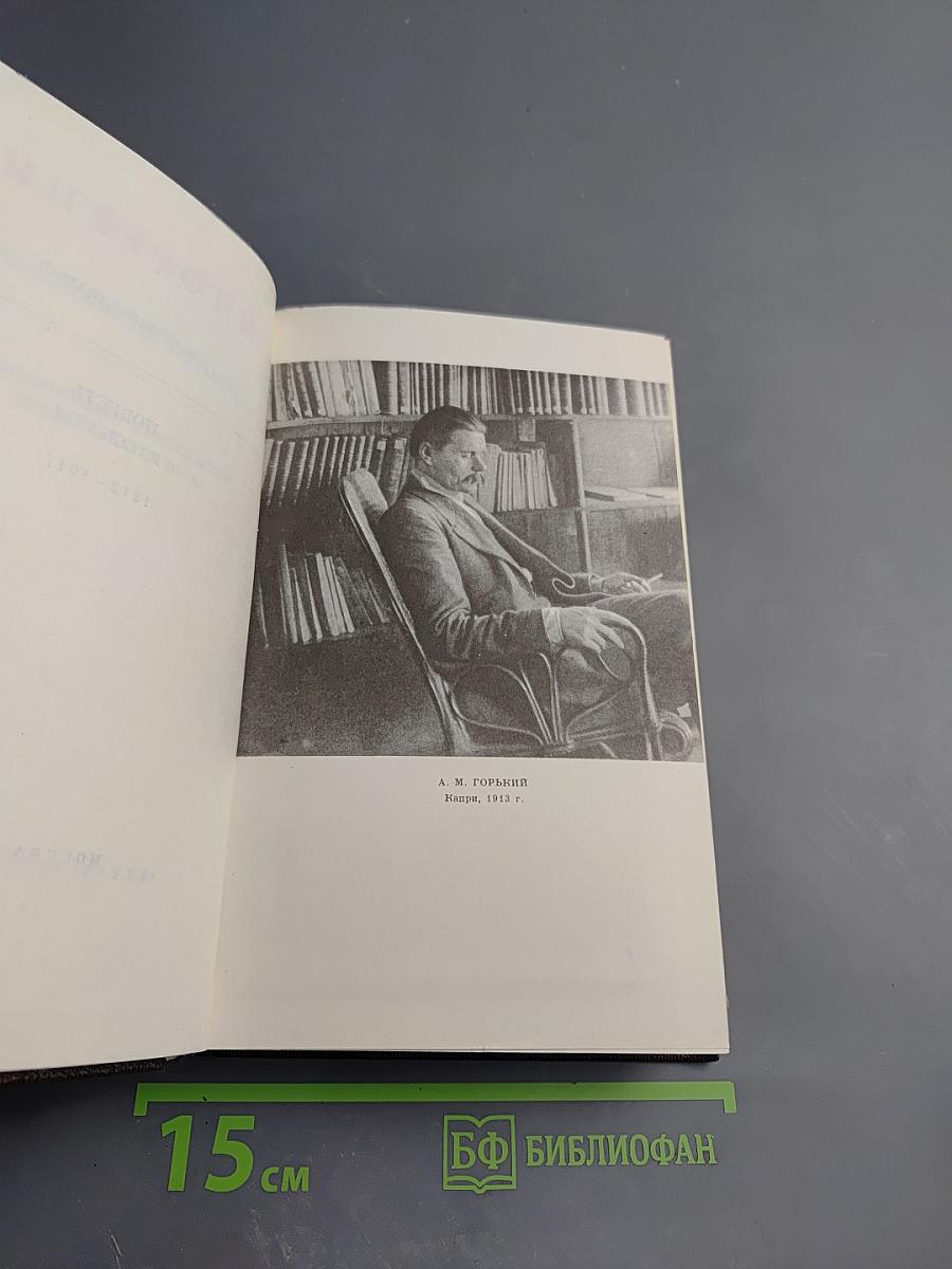 Полное собрание сочинений М. Горького. Том четырнадцатый: Повести. Рассказы 1912-1917